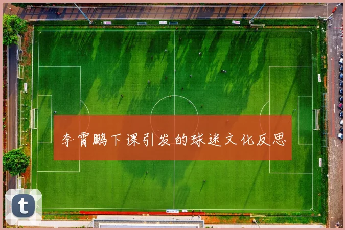 李霄鹏下课引发的球迷文化反思