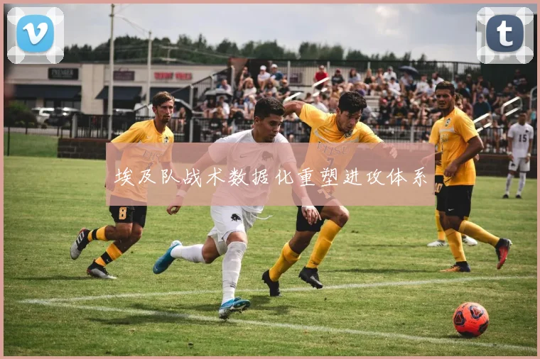 埃及队战术数据化重塑进攻体系