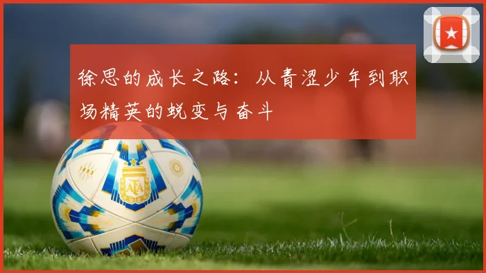徐思的成长之路：从青涩少年到职场精英的蜕变与奋斗