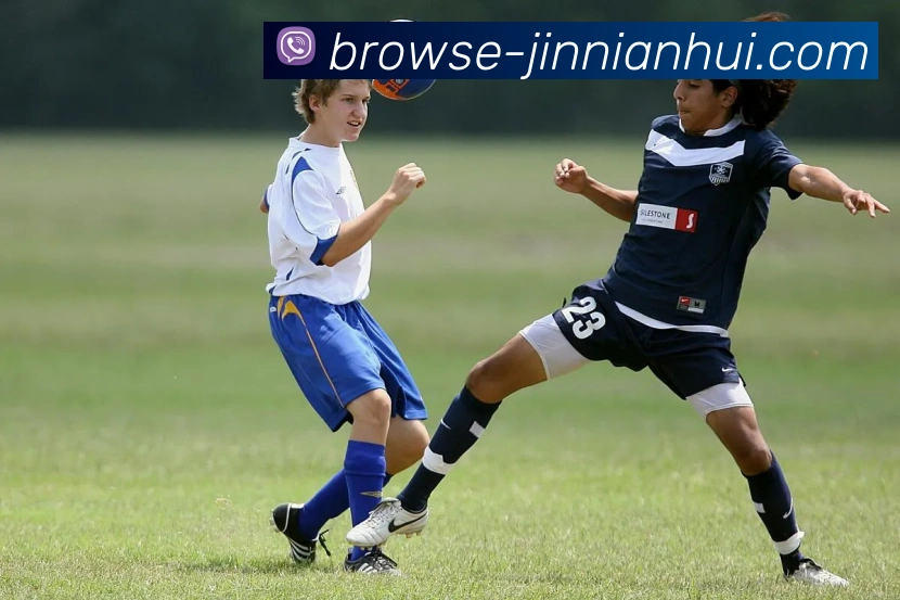 App Interface Preview