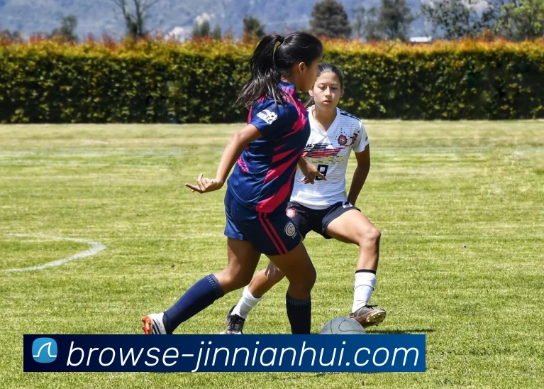 jinnianhuiAPP 封面图